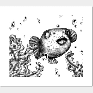 Puffer-fish Posters and Art